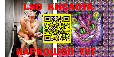 гашик Кимры