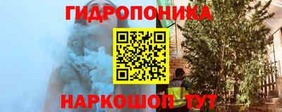 каннабис Камышлов