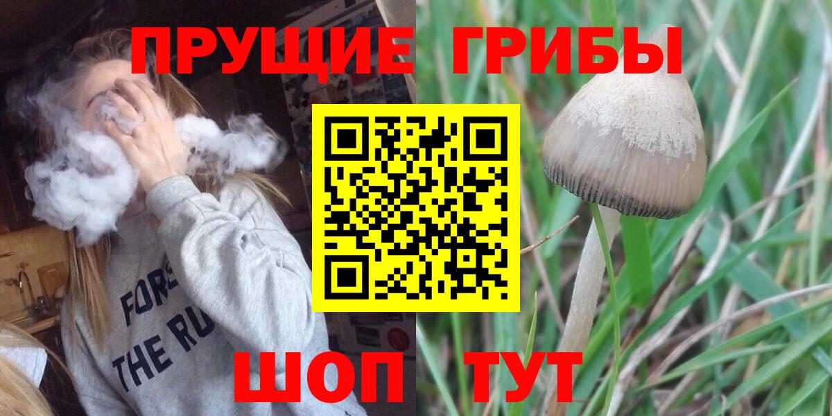 Псилоцибиновые грибы GOLDEN TEACHER  что такое наркотик  Лабытнанги  Вход с VPN 