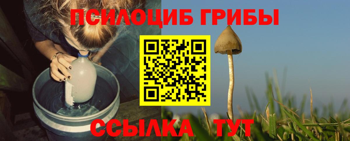 Галлюциногенные грибы мицелий Лабытнанги